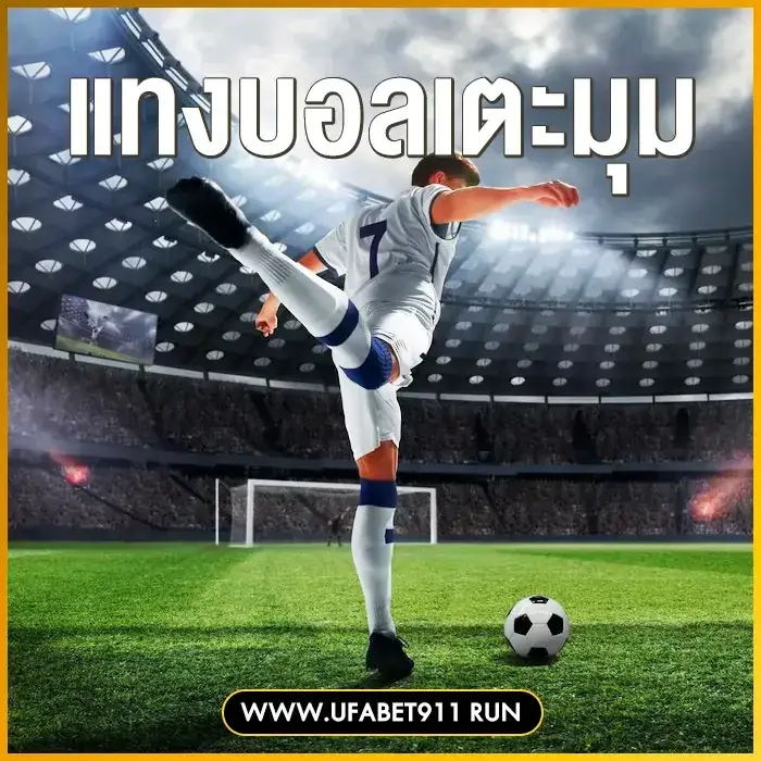 ufabet911